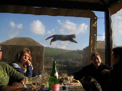 Bilder-Thread uh43048,1262473758,at the right moment 11