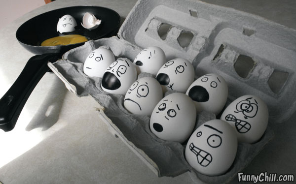Bilder-Thread uh43048,1262475438,scared-eggs
