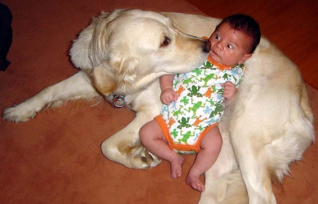 Bilder-Thread uh43048,1262475605,Cute Dog Scared Kid