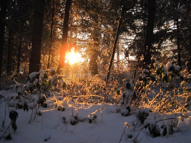Bilder-Thread uh43048,1262533221,bfiinkyfltn4zl6st