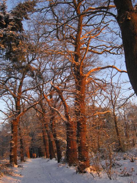 Bilder-Thread uh43048,1262533221,bfiiogckz3g08x3n1