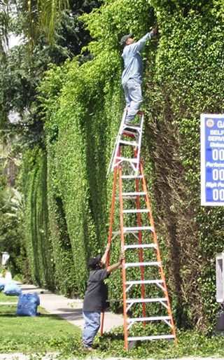 Bilder-Thread uh43048,1262769523,Ladder on Ladder