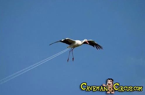 Bilder-Thread uh43048,1262879390,18 awesome perspective photos 1