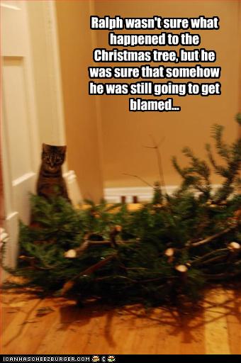 Bilder-Thread uh43048,1262881240,funny-pictures-cat-may-have-knocked-over-tree4