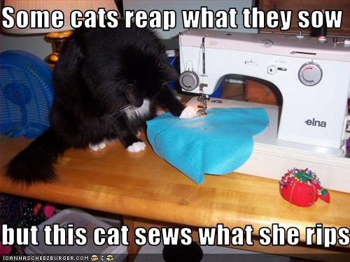 Bilder-Thread uh43048,1262881294,funny-pictures-cat-has-sewing-machine