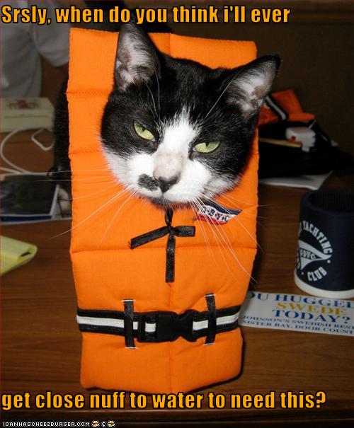 Bilder-Thread uh43048,1262881343,funny-pictures-cat-wears-life-vest