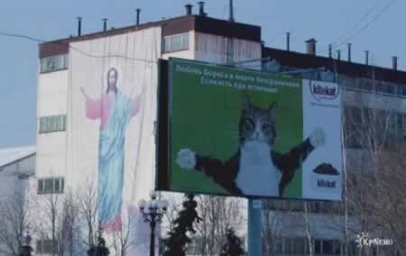 Bilder-Thread uh43048,1262881425,2828 c31b.jpeg