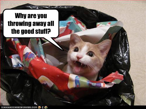 Bilder-Thread uh43048,1262881458,funny-pictures-cat-is-in-wrapping-paper-bag