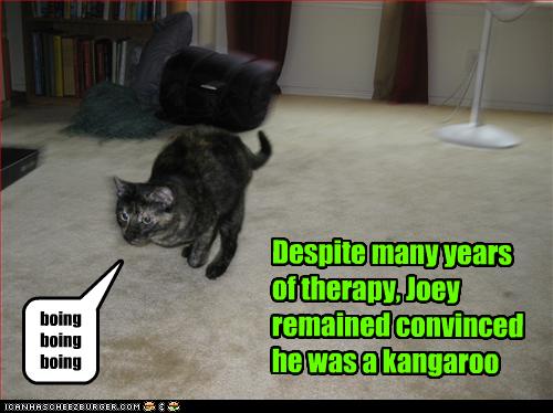 Bilder-Thread uh43048,1262881472,funny-pictures-cat-is-kangaroo