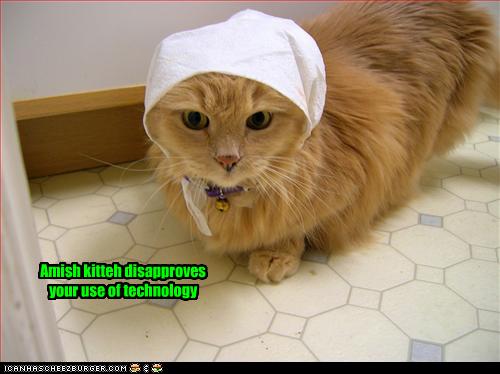 Bilder-Thread uh43048,1262881485,funny-pictures-cat-is-amish