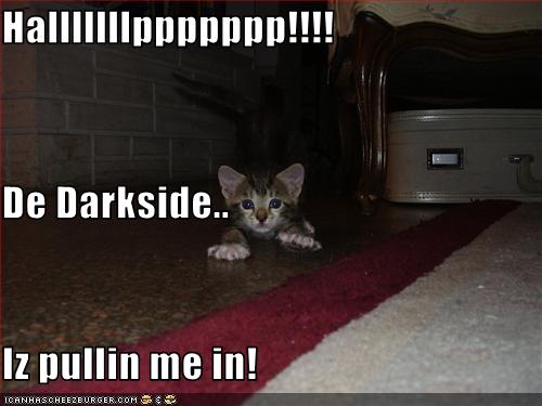 Bilder-Thread uh43048,1262881545,funny-pictures-cat-is-pulled-to-dark-side