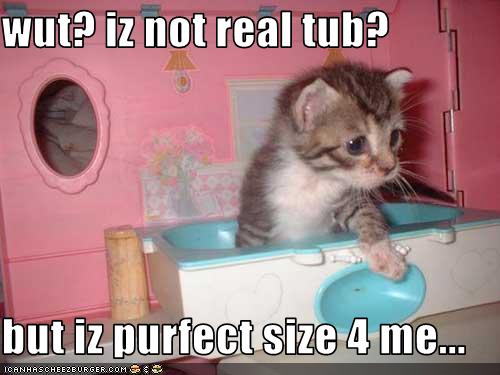 Bilder-Thread uh43048,1262881604,funny-pictures-kitten-is-in-tub