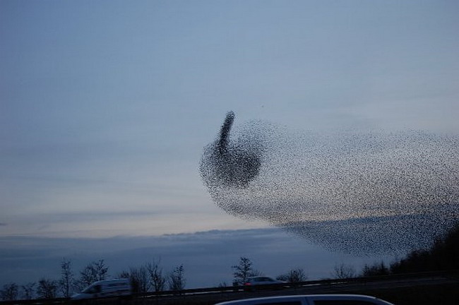 Bilder-Thread uh43048,1263426062,a-message-from-mother-nature