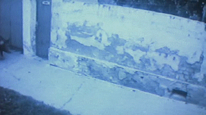 Bilder-Thread uh43048,1263512027,889