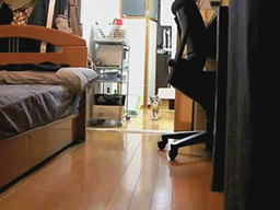 Bilder-Thread uh43048,1263559668,880
