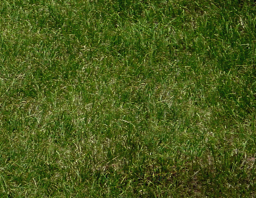 Bilder-Thread uh43048,1263561485,676