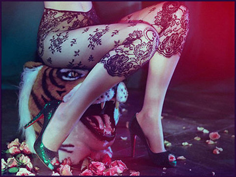 Bilder-Thread uh43048,1263686562,bacc60f87f7cd78b781a720576b6e01585fbb8dc m