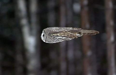 Bilder-Thread uh43048,1263851966,4e9ccf4441c1a2c499c3bb831ed3cade9eeb0ff7 m