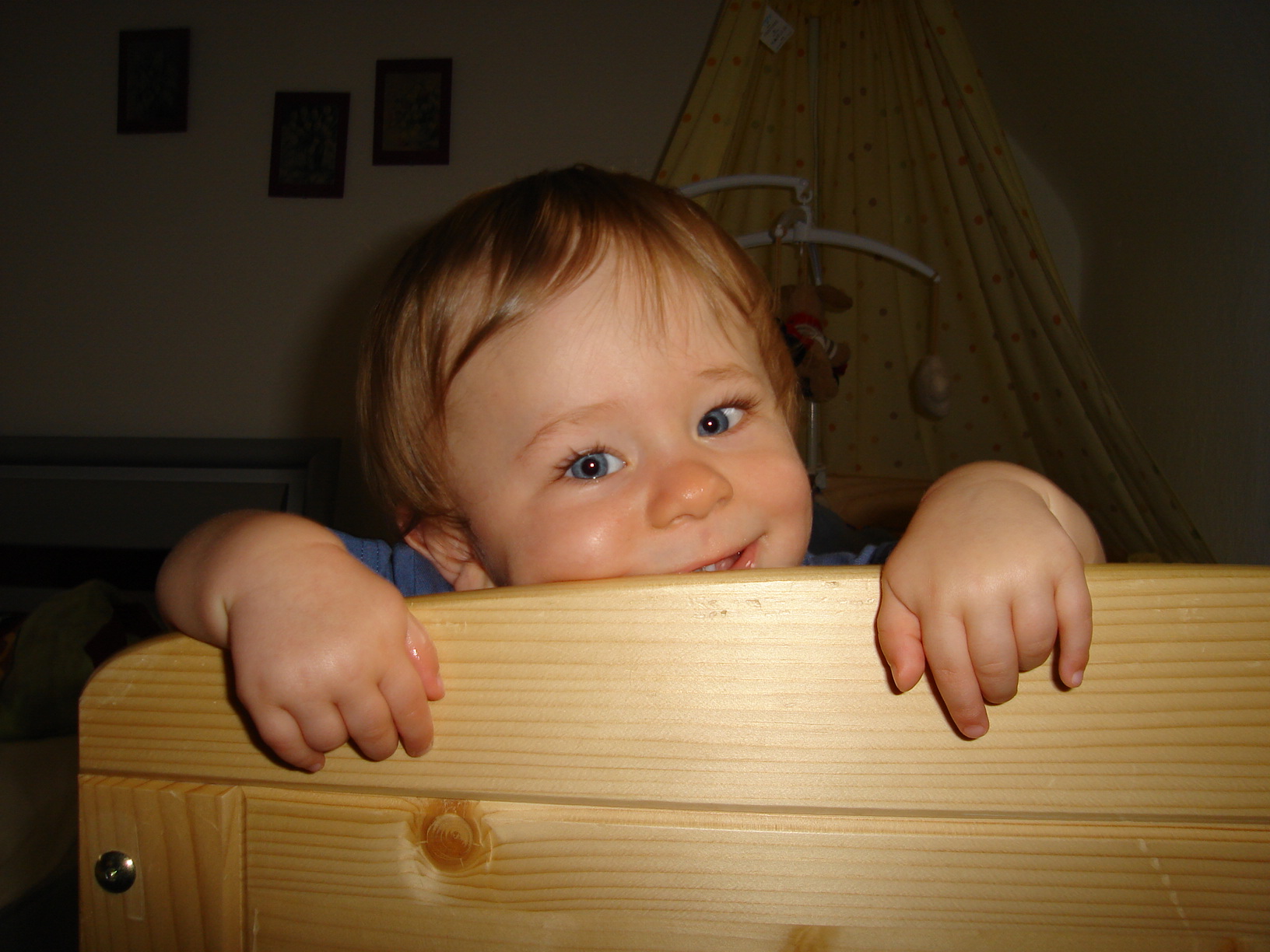 Bilder-Thread uh43048,1263852734,dsc039425T4LN