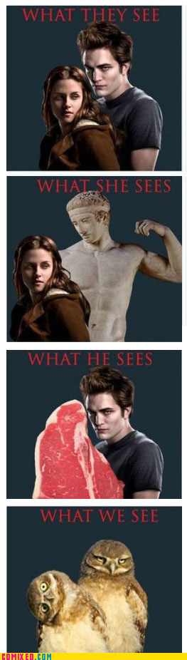 Bilder-Thread uh43048,1263920259,twilight-what-we-see-500x450