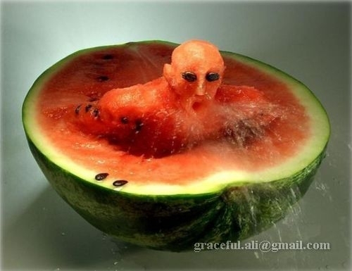 Bilder-Thread uh43048,1264009463,Funny-Food-food-1688531-500-385