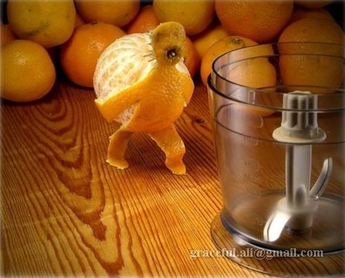 Bilder-Thread uh43048,1264009463,Funny-Food-food-1688534-500-403