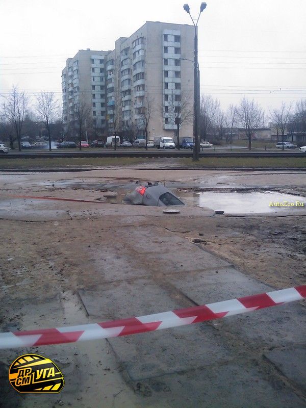 Bilder-Thread uh43048,1264022349,1 005
