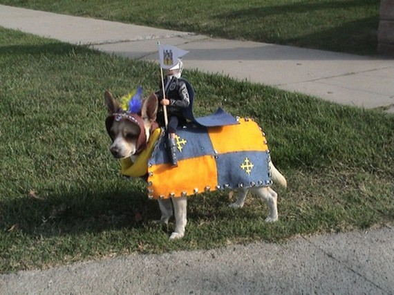 Bilder-Thread uh43048,1264026508,my-owner-is-an-idiot08