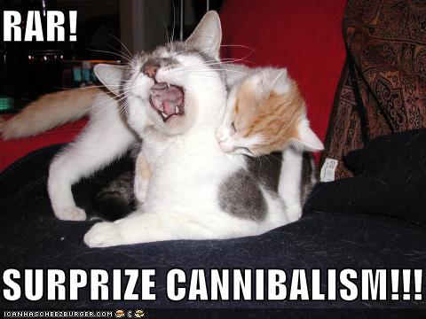 Bilder-Thread uh43048,1264082653,lolcats-funny-pictures-surprise-cannibalism