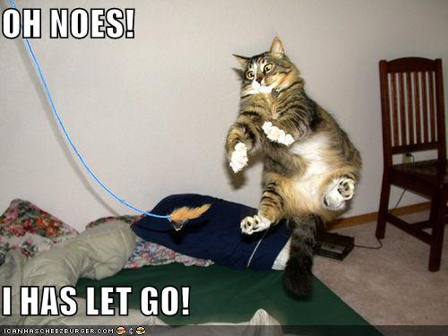 Bilder-Thread uh43048,1264082664,lolcats oh-noes ihasletgo