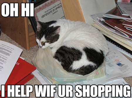 Bilder-Thread uh43048,1264082729,windowslivewriterwhatarelolcats-7e38lolcats-1