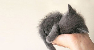 Bilder-Thread uh43048,1264114718,5b77d57acaf1fa1041e276c3ad18b5d0a5bdeed0 m