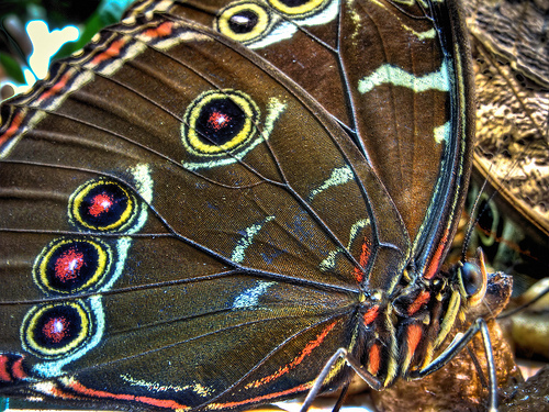 Bilder-Thread uh43048,1264414572,3297460455 8dfde5dd13