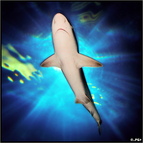Bilder-Thread uh43048,1264431893,382582371 963bf90219