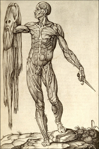 Bilder-Thread uh43048,1264693114,dream anatomy