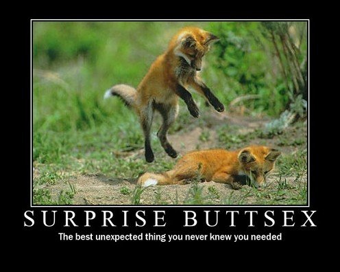 Bilder-Thread uh43048,1264695741,buttsex