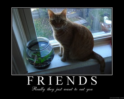 Bilder-Thread uh43048,1264698129,poster5384648