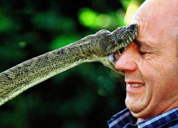 Bilder-Thread uh43048,1264724275,snake-bite