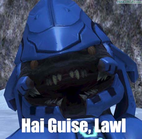 Bilder-Thread uh43048,1264767574,hai-guise