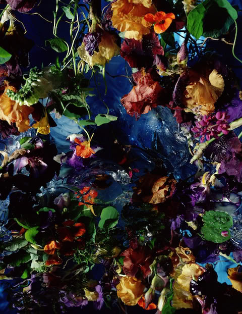 Bilder-Thread uh43048,1266258005,16
