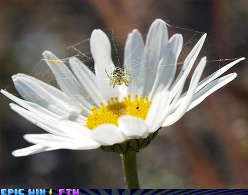 Bilder-Thread uh43048,1266510559,129087639170239366
