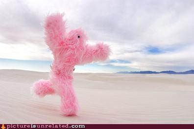 Bilder-Thread uh43048,1266608958,129097005126882811