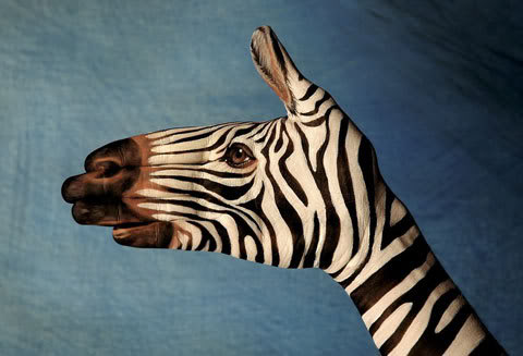Bilder-Thread uh43048,1266609621,finger pets01