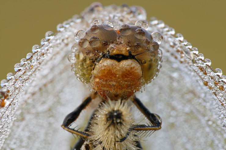 Bilder-Thread uh43048,1266609879,1
