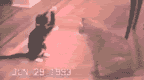 Bilder-Thread uh43048,1267005757,014
