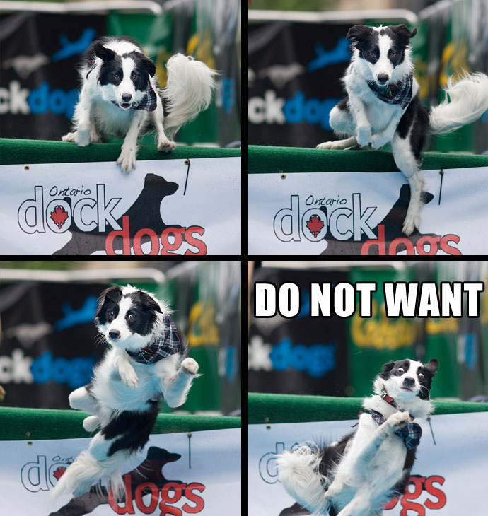 Bilder-Thread uh43048,1267459968,1244644441149