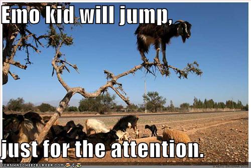 Bilder-Thread uh43048,1267460767,funny-pictures-emo-goat-in-tree