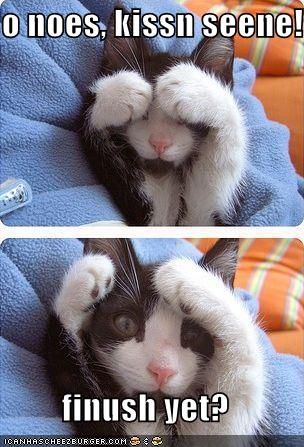 Bilder-Thread uh43048,1267615301,funnypicturesblanketkitie6