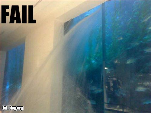 Bilder-Thread uh43048,1267787009,epic-fail-aquarium-fail