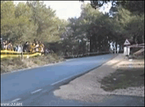 Bilder-Thread uh43048,1267790144,Rally car tree save